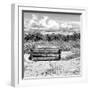 Wooden Bench overlooking a Florida wild Beach-Philippe Hugonnard-Framed Photographic Print