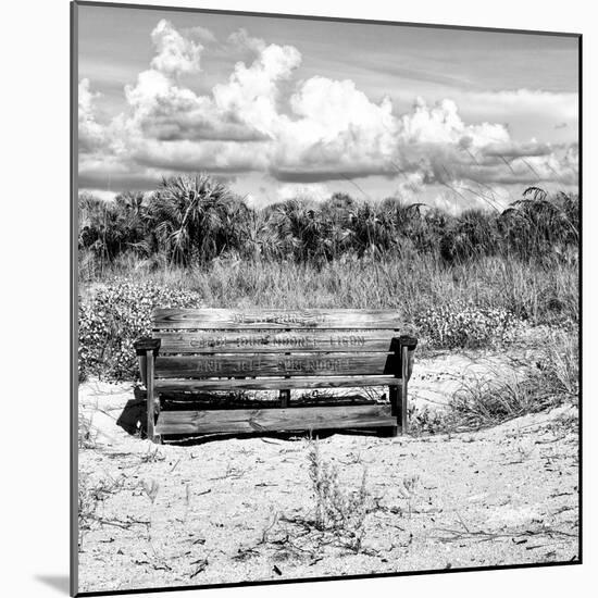 Wooden Bench overlooking a Florida wild Beach-Philippe Hugonnard-Mounted Photographic Print