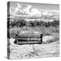 Wooden Bench overlooking a Florida wild Beach-Philippe Hugonnard-Stretched Canvas