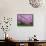 Wooden Bench under Cherry Blossom Tree in Winterthur Gardens, Wilmington, Delaware, Usa-Jay O'brien-Framed Stretched Canvas displayed on a wall