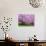 Wooden Bench under Cherry Blossom Tree in Winterthur Gardens, Wilmington, Delaware, Usa-Jay O'brien-Photographic Print displayed on a wall