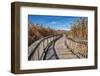 Wooden boardwalk in the autumn-Lisa Engelbrecht-Framed Photographic Print