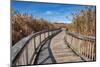 Wooden boardwalk in the autumn-Lisa Engelbrecht-Mounted Photographic Print