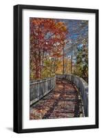 Wooden boardwalk in the autumn-Lisa Engelbrecht-Framed Photographic Print