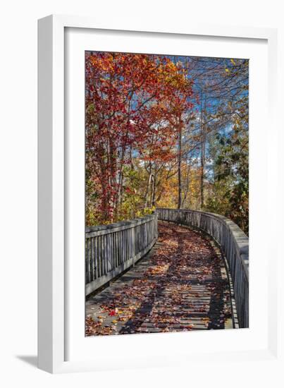 Wooden boardwalk in the autumn-Lisa Engelbrecht-Framed Photographic Print