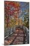 Wooden boardwalk in the autumn-Lisa Engelbrecht-Mounted Photographic Print