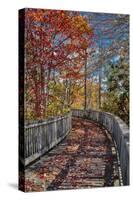 Wooden boardwalk in the autumn-Lisa Engelbrecht-Stretched Canvas