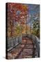 Wooden boardwalk in the autumn-Lisa Engelbrecht-Stretched Canvas