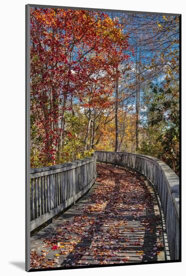 Wooden boardwalk in the autumn-Lisa Engelbrecht-Mounted Photographic Print