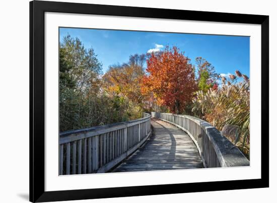 Wooden boardwalk in the autumn-Lisa Engelbrecht-Framed Photographic Print