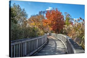 Wooden boardwalk in the autumn-Lisa Engelbrecht-Stretched Canvas