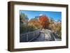 Wooden boardwalk in the autumn-Lisa Engelbrecht-Framed Photographic Print