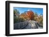 Wooden boardwalk in the autumn-Lisa Engelbrecht-Framed Photographic Print