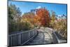 Wooden boardwalk in the autumn-Lisa Engelbrecht-Mounted Photographic Print