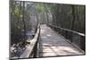 Wooden Boardwalk over Swamps in the UNESCO World Heritage Site Sundarbans, Bangladesh, Asia-Michael Runkel-Mounted Photographic Print