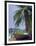 Wooden Boat Beneath Palm Trees on Beach, off the Island of Phuket, Thailand-Ruth Tomlinson-Framed Photographic Print