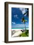 Wooden Boat on Beach with White Sand, Philippines-pashapixel-Framed Photographic Print