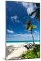 Wooden Boat on Beach with White Sand, Philippines-pashapixel-Mounted Photographic Print