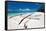 Wooden Boat on Tropical Beach with White Sand-pashapixel-Framed Stretched Canvas