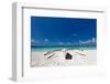 Wooden Boat on Tropical Beach with White Sand-pashapixel-Framed Photographic Print