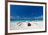 Wooden Boat on Tropical Beach with White Sand-pashapixel-Framed Photographic Print