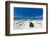 Wooden Boat on Tropical Beach-pashapixel-Framed Photographic Print