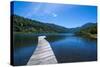 Wooden Boat Pier on Lago Tinquilco in the Huerquehue, Southern Chile-Michael Runkel-Stretched Canvas