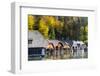 Wooden boathouses, lake Koenigssee, Berchtesgaden NP, Bavaria, Germany-Martin Zwick-Framed Photographic Print