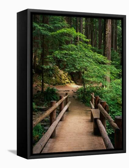 Wooden Bridge Along Sol Duc Falls Trail-James Randklev-Framed Stretched Canvas