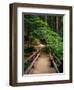 Wooden Bridge Along Sol Duc Falls Trail-James Randklev-Framed Photographic Print