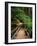 Wooden Bridge Along Sol Duc Falls Trail-James Randklev-Framed Photographic Print