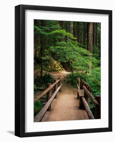 Wooden Bridge Along Sol Duc Falls Trail-James Randklev-Framed Photographic Print