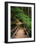 Wooden Bridge Along Sol Duc Falls Trail-James Randklev-Framed Photographic Print
