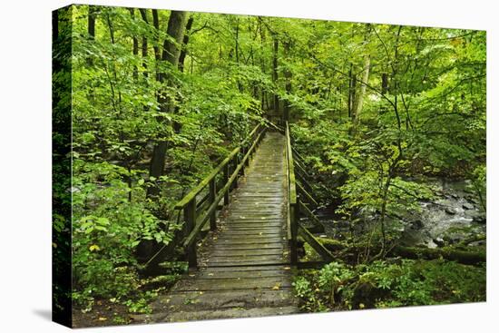 Wooden Bridge, Holzbachtal, Westerwald, Rhineland-Palatinate, Germany, Europe-Jochen Schlenker-Stretched Canvas