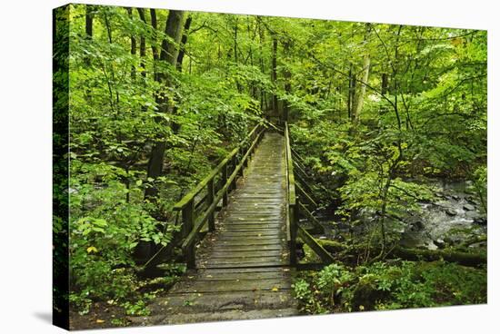 Wooden Bridge, Holzbachtal, Westerwald, Rhineland-Palatinate, Germany, Europe-Jochen Schlenker-Stretched Canvas