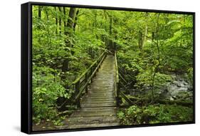 Wooden Bridge, Holzbachtal, Westerwald, Rhineland-Palatinate, Germany, Europe-Jochen Schlenker-Framed Stretched Canvas