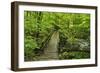 Wooden Bridge, Holzbachtal, Westerwald, Rhineland-Palatinate, Germany, Europe-Jochen Schlenker-Framed Photographic Print