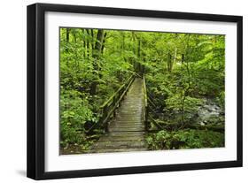 Wooden Bridge, Holzbachtal, Westerwald, Rhineland-Palatinate, Germany, Europe-Jochen Schlenker-Framed Photographic Print