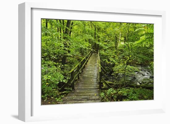 Wooden Bridge, Holzbachtal, Westerwald, Rhineland-Palatinate, Germany, Europe-Jochen Schlenker-Framed Photographic Print