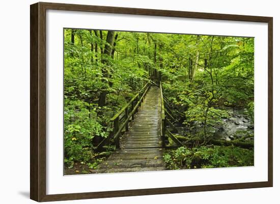 Wooden Bridge, Holzbachtal, Westerwald, Rhineland-Palatinate, Germany, Europe-Jochen Schlenker-Framed Photographic Print