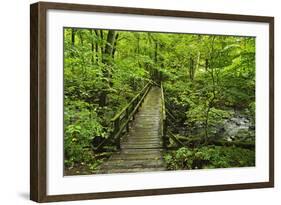 Wooden Bridge, Holzbachtal, Westerwald, Rhineland-Palatinate, Germany, Europe-Jochen Schlenker-Framed Photographic Print