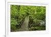 Wooden Bridge, Holzbachtal, Westerwald, Rhineland-Palatinate, Germany, Europe-Jochen Schlenker-Framed Photographic Print