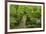 Wooden Bridge, Holzbachtal, Westerwald, Rhineland-Palatinate, Germany, Europe-Jochen Schlenker-Framed Photographic Print