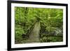 Wooden Bridge, Holzbachtal, Westerwald, Rhineland-Palatinate, Germany, Europe-Jochen Schlenker-Framed Photographic Print