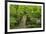 Wooden Bridge, Holzbachtal, Westerwald, Rhineland-Palatinate, Germany, Europe-Jochen Schlenker-Framed Photographic Print