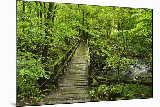 Wooden Bridge, Holzbachtal, Westerwald, Rhineland-Palatinate, Germany, Europe-Jochen Schlenker-Mounted Photographic Print