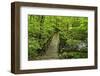 Wooden Bridge, Holzbachtal, Westerwald, Rhineland-Palatinate, Germany, Europe-Jochen Schlenker-Framed Premium Photographic Print