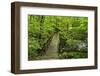 Wooden Bridge, Holzbachtal, Westerwald, Rhineland-Palatinate, Germany, Europe-Jochen Schlenker-Framed Photographic Print