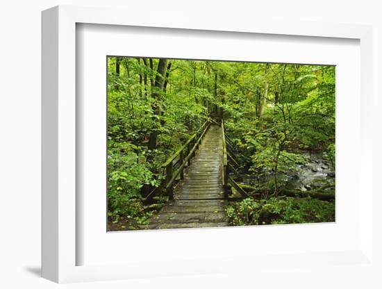 Wooden Bridge, Holzbachtal, Westerwald, Rhineland-Palatinate, Germany, Europe-Jochen Schlenker-Framed Photographic Print