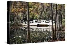 Wooden Bridge in Swamp of Charleston, SC-null-Stretched Canvas